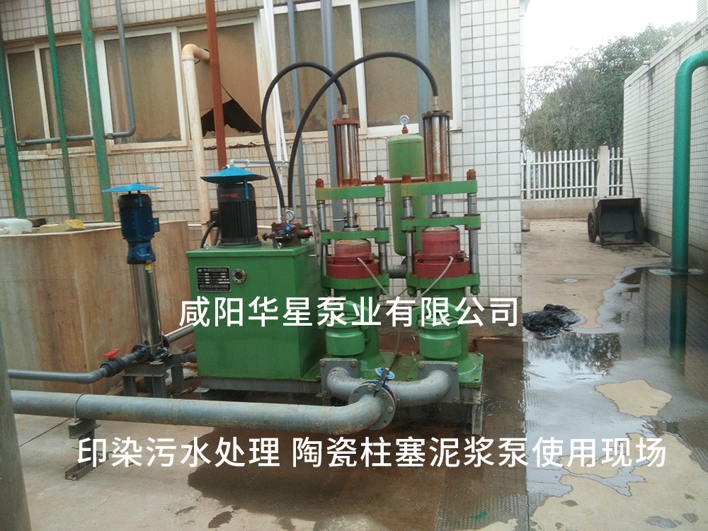 印染污水處理使用咸陽(yáng)柱塞泵現場(chǎng)