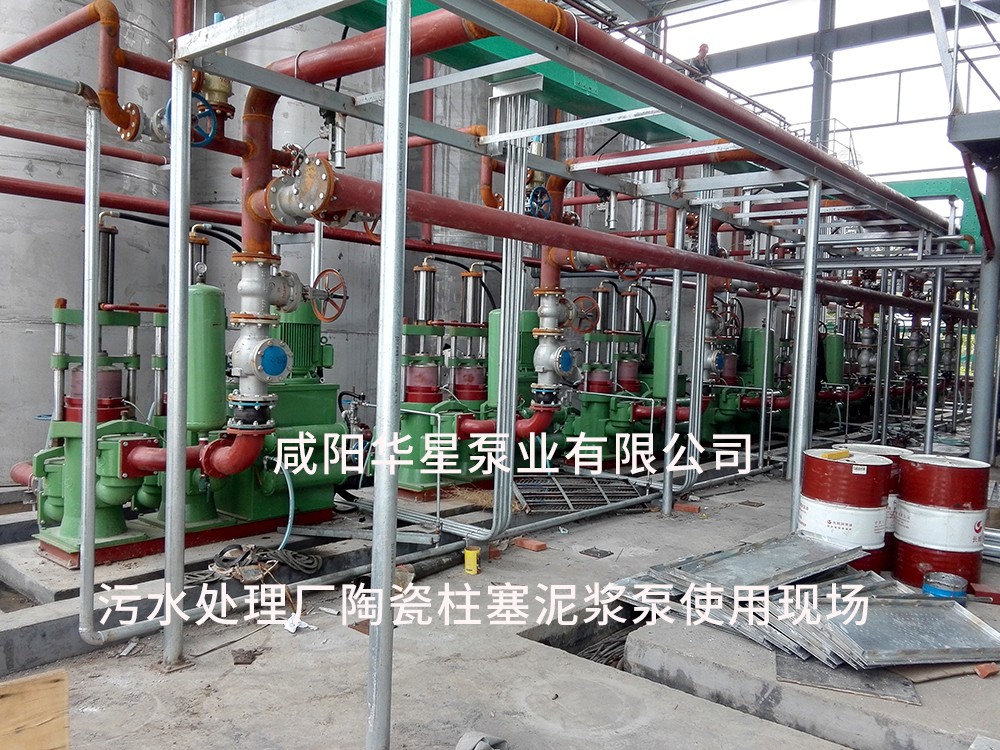污水處理廠(chǎng)咸陽(yáng)柱塞泵使用現場(chǎng)