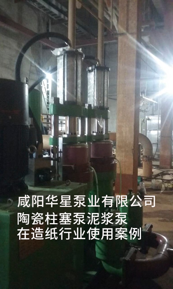 造紙行業(yè)咸陽(yáng)柱塞泵使用現場(chǎng)1