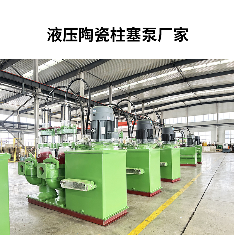 液壓陶瓷柱塞泵廠(chǎng)家12.jpg