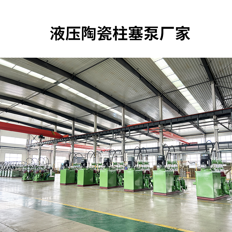 液壓陶瓷柱塞泵廠(chǎng)家4.jpg